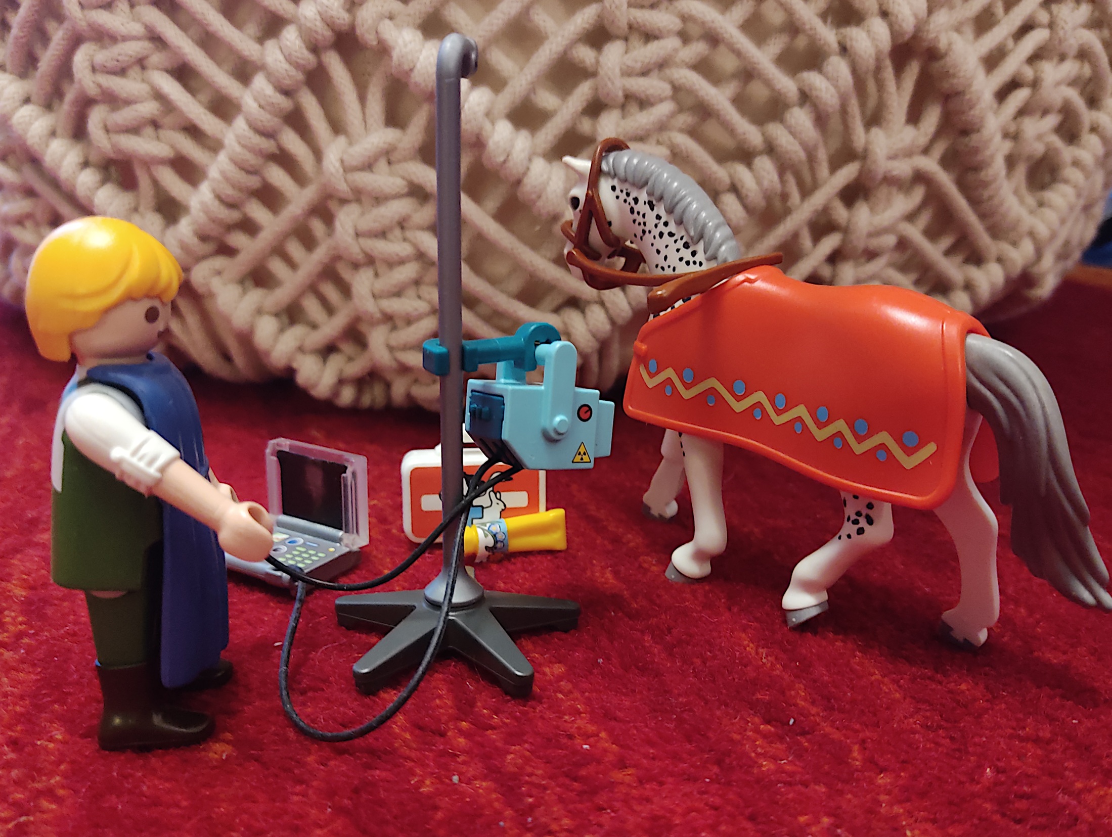 Tiermedizinische Röntgenprüfung - vom Kleintier bis zum Pferd